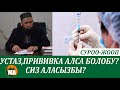 Максат ажы прививка алар албасын айтты СУРОО-ЖООП