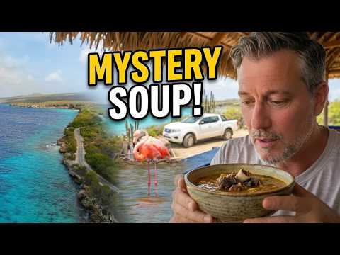 Bonaire's ULTIMATE Road Trip: Flamingos, Mystery Lunch & More!