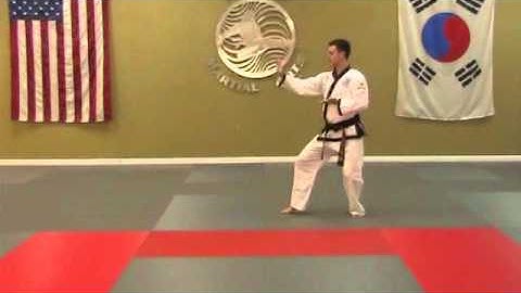 Pyung Ahn 2 - Rear View - Without Count