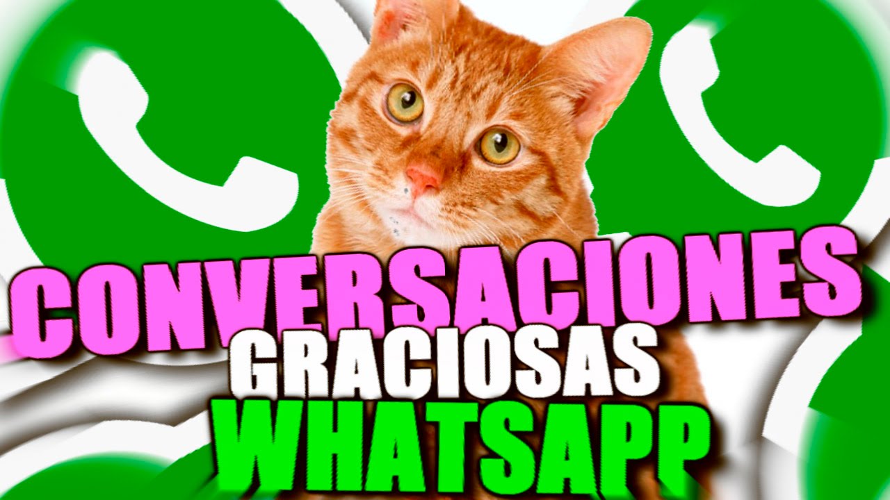 ⁣CONVERSACIONES GRACIOSAS DE WHATSAPP