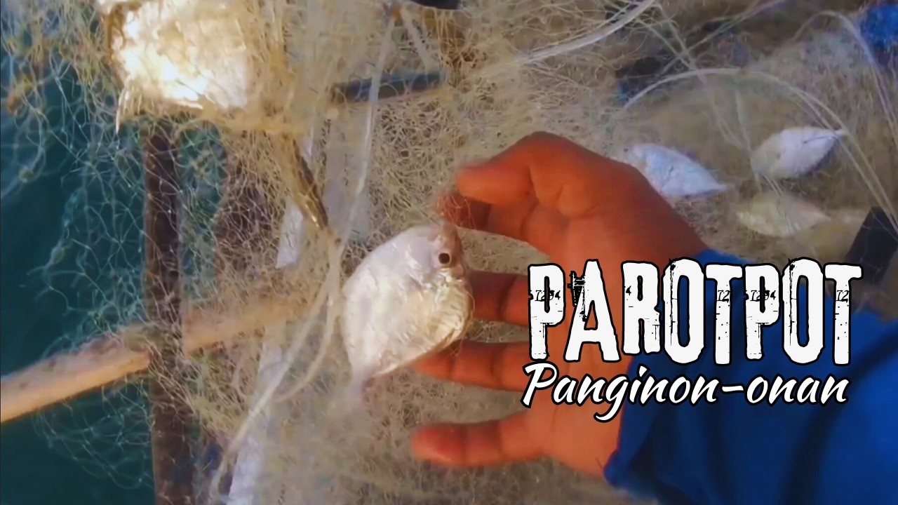 Parotpot Nasad Pangpaksiw Ato Kuha #dumagsa #fishing #netfishing