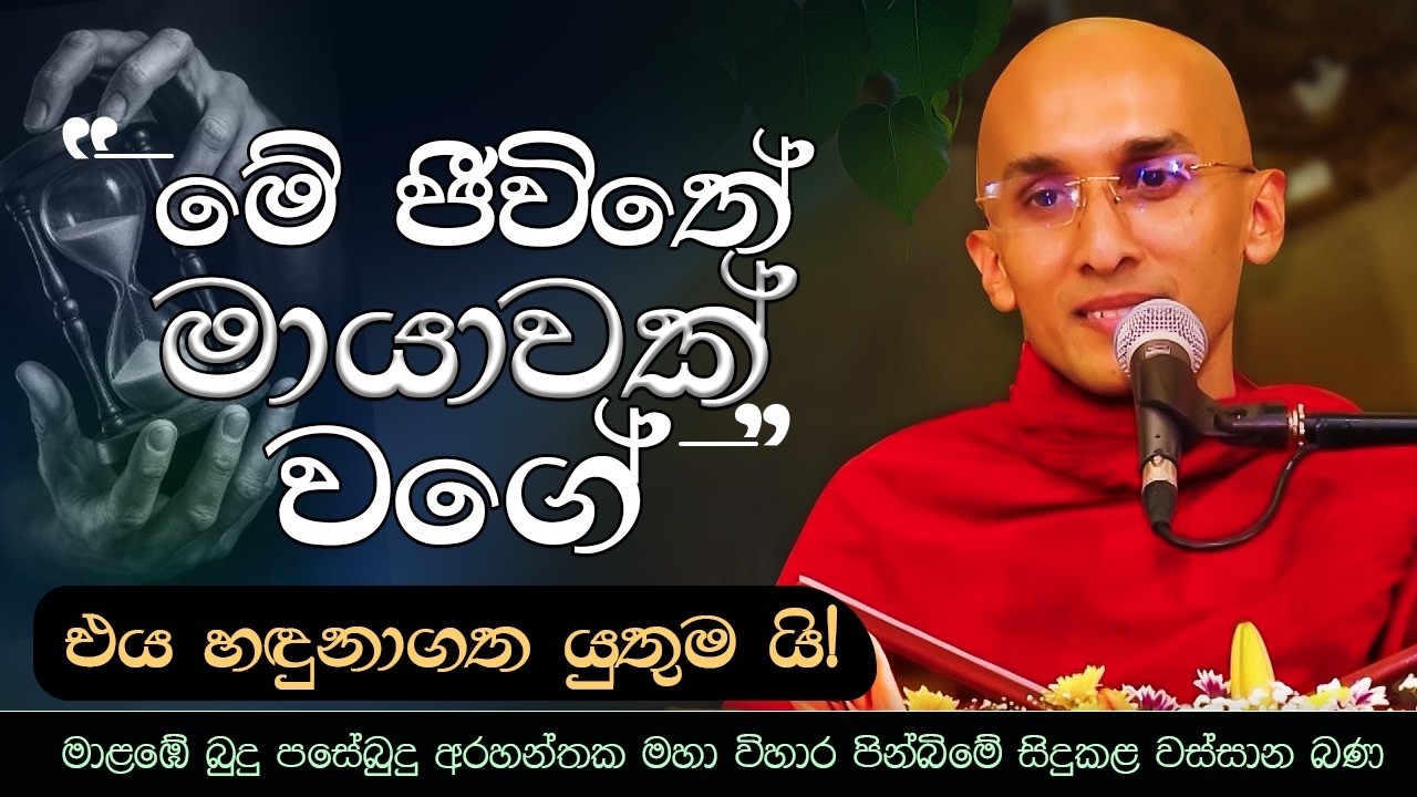 මේ ජීවිතය මායාවක් වගේ | බුදු පසේබුදු අරහන්තක මහා විහාරය - මාළඹේ | Ven. Ankubure Amithadeepa Thero