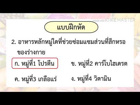 สื่อวิทยาศาสตร์  : เรื่อง อาหารหลัก 5 หมู่  ป.3