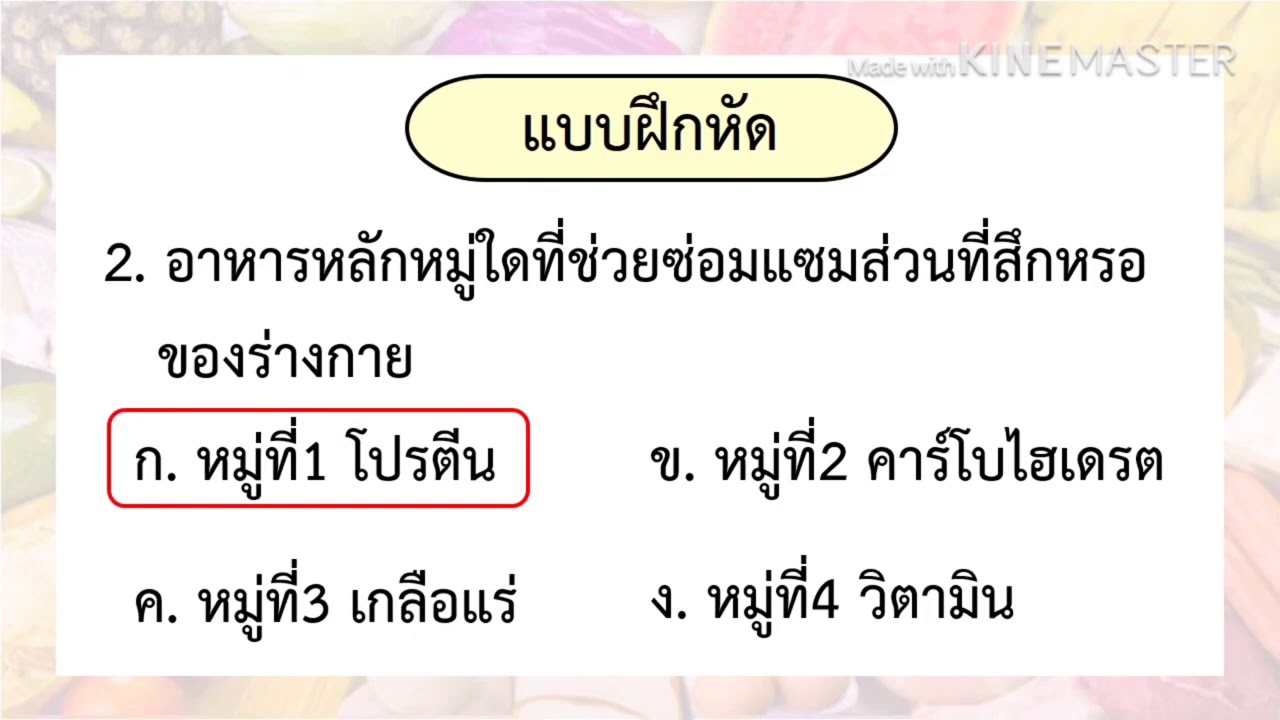 สื่อวิทยาศาสตร์  : เรื่อง อาหารหลัก 5 หมู่  ป.3 | ข้อมูลที่สมบูรณ์ที่สุดเกี่ยวกับอาหาร 5 หมู่มีอะไรบ้าง