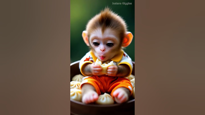 This Chubby Monkey’s Adorable Smile Will Melt Your Heart! #cuteanimals #ai #cute #monkey
