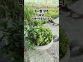 목솔 넘 이쁜척.죄송함돠~