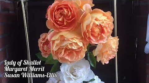 Cut Roses | Margaret Merril | Susan Williams-Ellis | Lady of Shalott