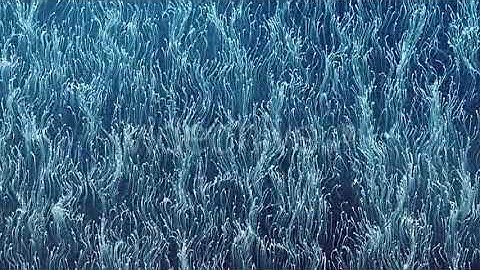 Blue Abstract Particles | Motion Graphics - Envato elements