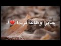 روحي خلوها وحيدة بدون اسم