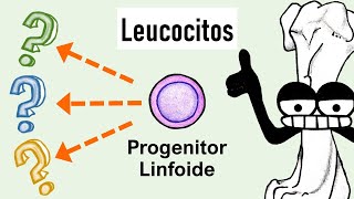 Lymphoid Cells | NK Cells, Lymphocytes, and More Lymphocytes Lymphoid Cells | NK Cells, Lymphocytes, and More Lymphocytes