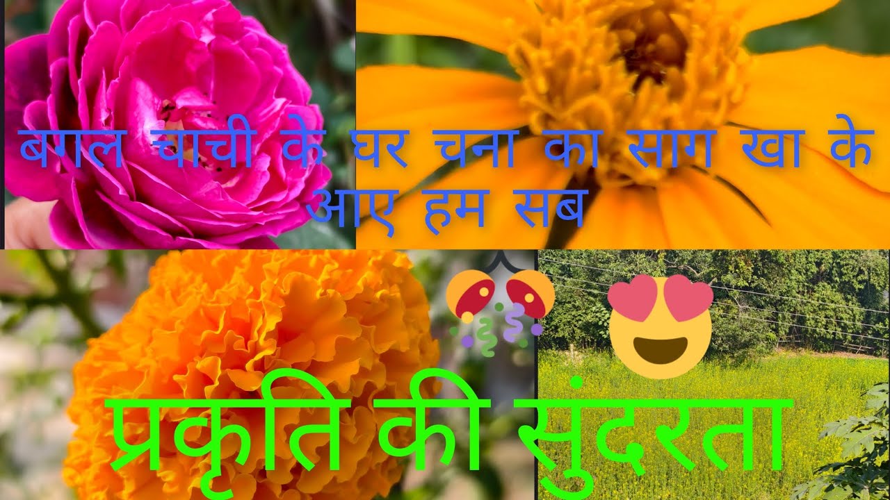 प्राकृतिक गांव की सुंदरता के आगे,शहर की matro life बहुत ही बेकार है।।🥺🫢बस एक दिन और फिर वापस नागपुर🥹