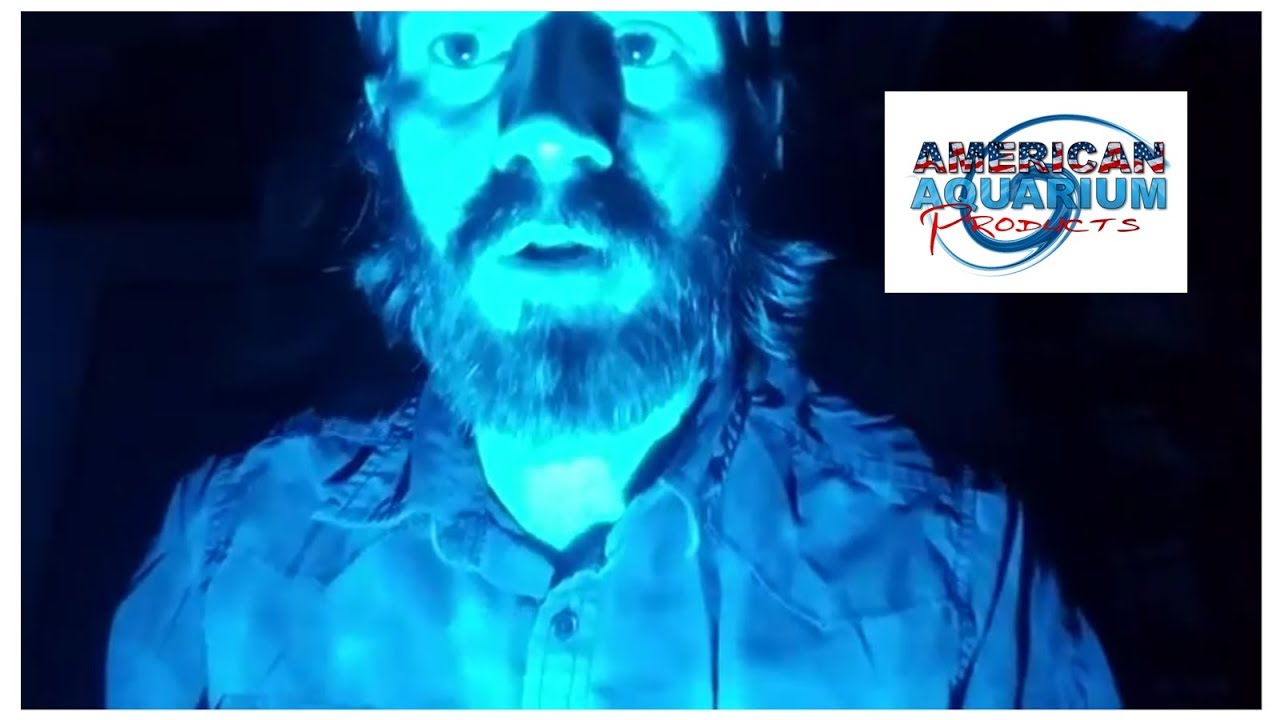 aquarium moonlight led aquarium