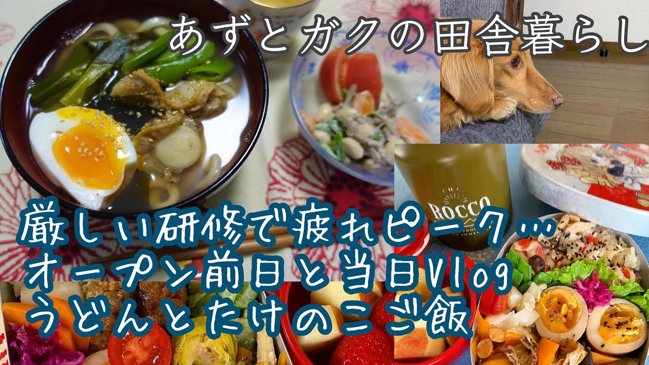 [田舎暮らしアラフィフ］厳しい研修で疲れピーク…/オープン前日と当日Vlog/うどんとたけのこごはん/ナレーションあり/平日お弁当/節約生活/日常/暮らし