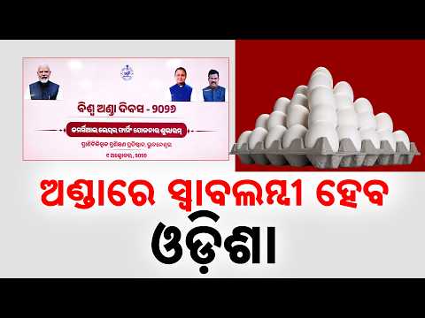 Odisha to Become Self-Reliant in Egg Production; New Policy on AP Model | Argus News
