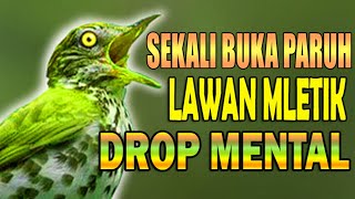 NGERI.. Tembakan Burung Ini  Bikin Mental Lawan DROP