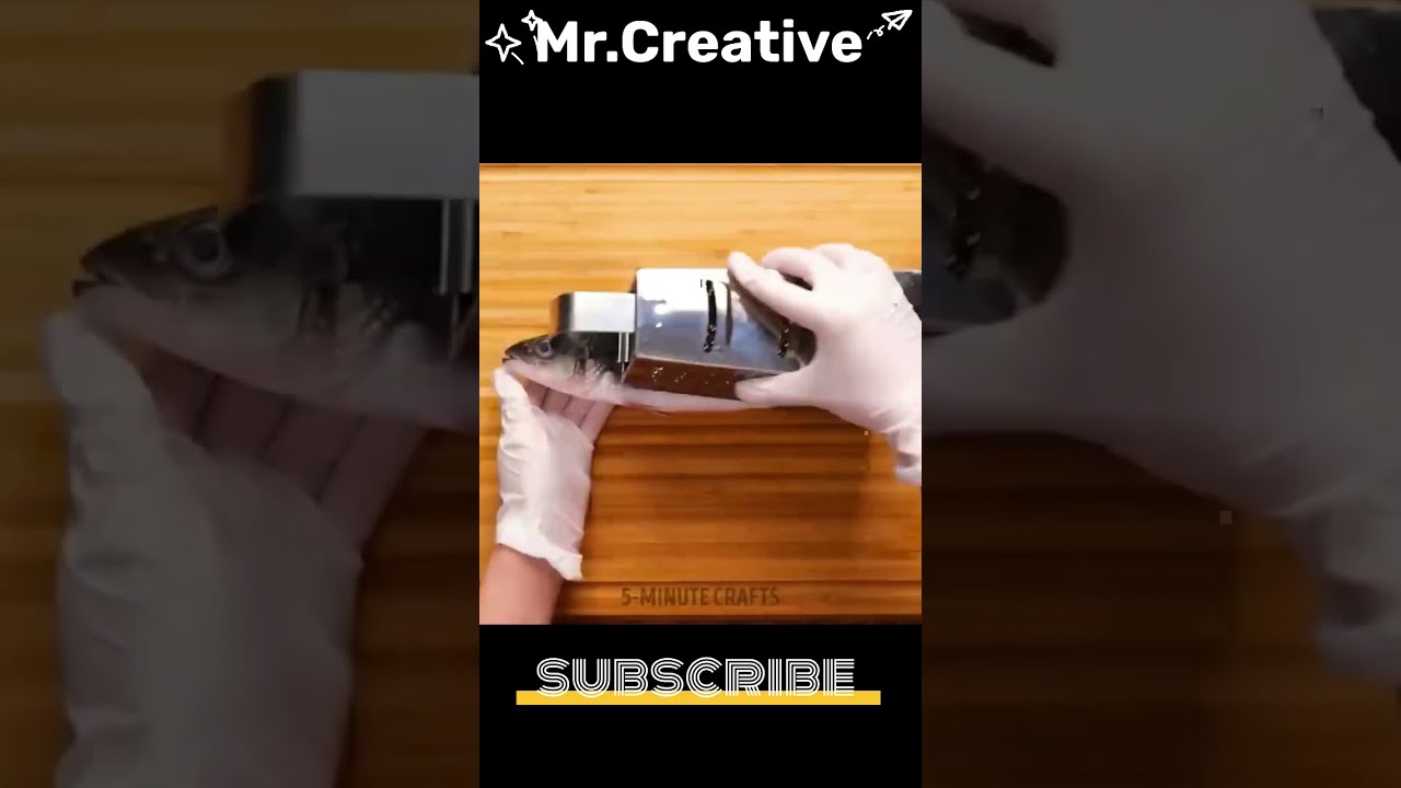 Credit Https Youtu Be WfuntnKL9Xc Si ZAPMEh94WQXTP 2f