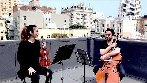 Corelli Strings Promotional Video #1