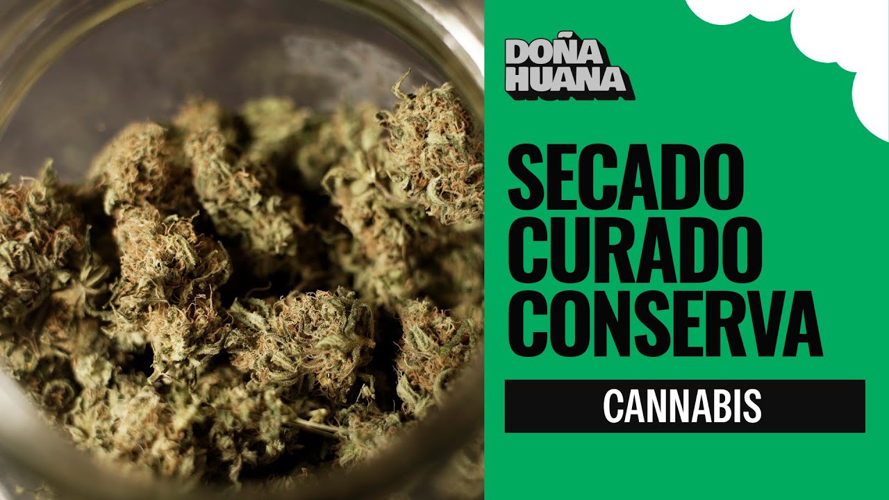 SECADO, CURADO, Y CONSERVACIÓN - A.P.B