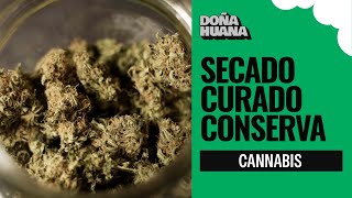 SECADO, CURADO, Y CONSERVACIÓN - A.P.B