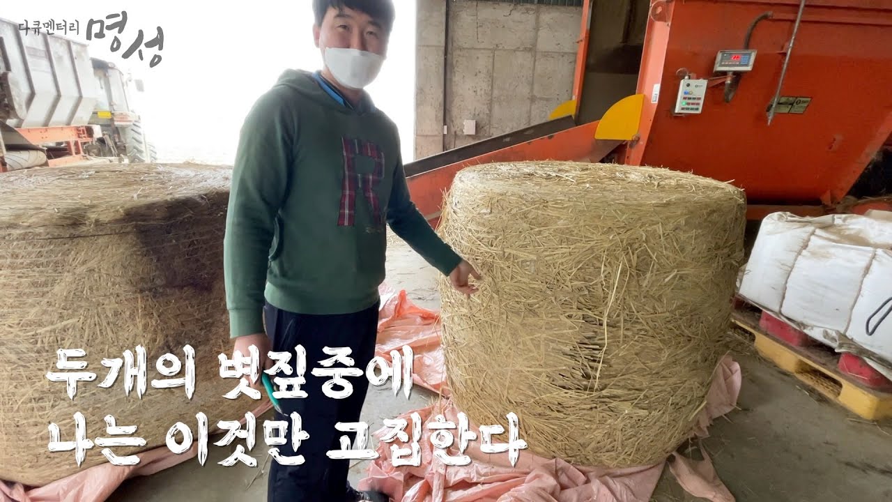 [다큐멘터리 명성] 왜 필름바인딩 베일을 먹여야 하는가 두개의 볏짚중에 나는 필름바인딩 베일만 고집한다