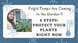 4 Steps RIGHT NOW to Protect Your Perennials + Veg from Winter Storms + Frigid Temps ❄️?❄️