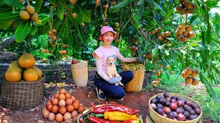 Download Lagu Harvest, Sell, And Cook: Macadamia, Chocolate Chili, Pomelo, Egg, Passion Fruit — Garden, Plant Tree MP3