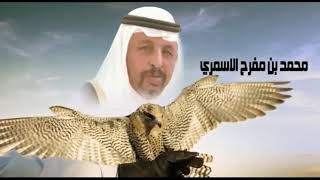 مسيرة رد على الشاعر علي السالمي