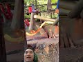 Làm Dao Bằng Thép Lò Xo #tools