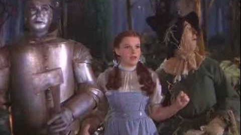 Wizard of Oz Log Blooper