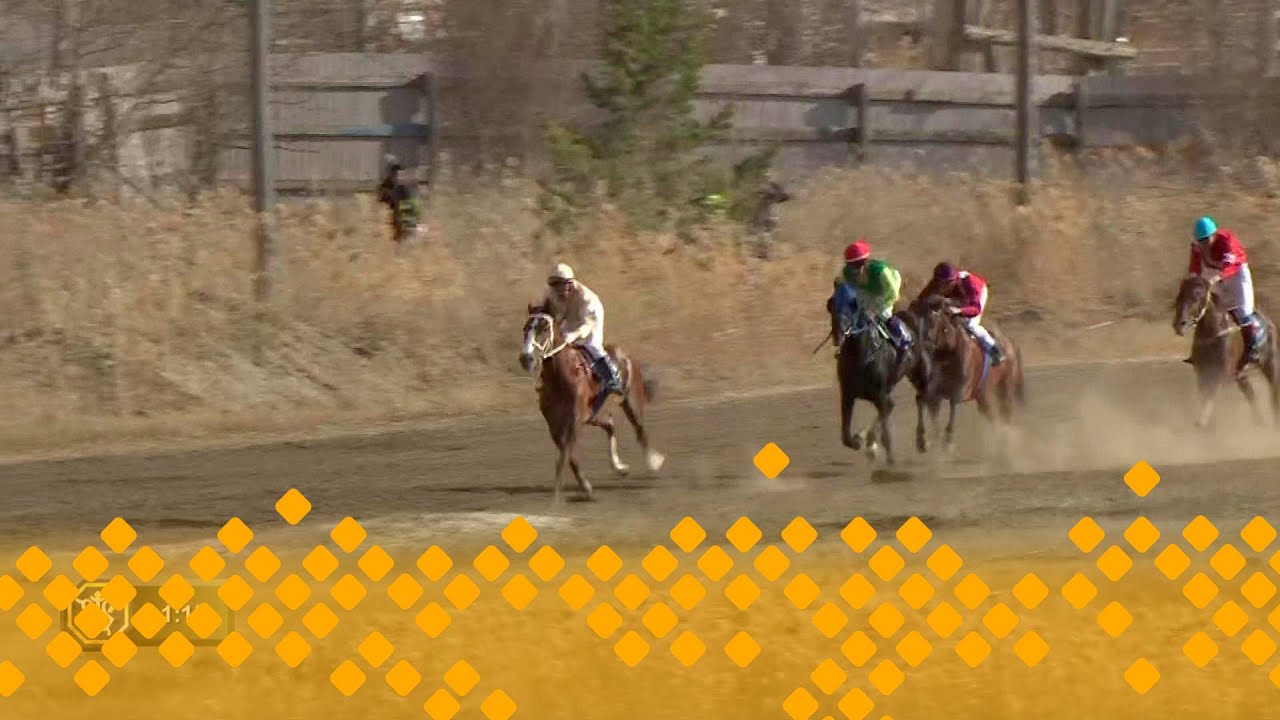 Конные скачки к 80-ти летию Великой Победы       (10.05.25)