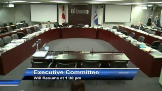 Executive Committee - June 28, 2016 - Afternoon and Evening Session