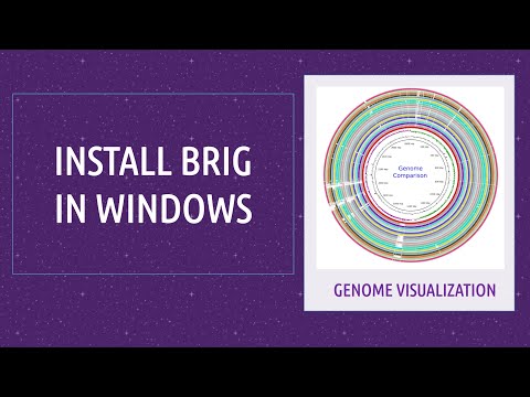 A bioinformatics tutorial on how to Install BRIG in Windows