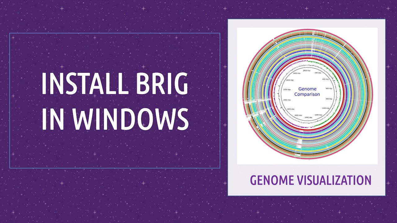 A bioinformatics tutorial on how to Install BRIG in Windows - YouTube