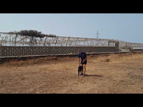 Mia video