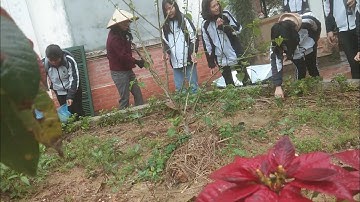 [Bài Dự Thi ] clip Cảm Động - Thầy Cô Trong Mắt Em || 12A2k36 THPT Na Dương