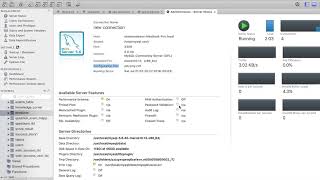 How to set UTF8 encoding on Mysql for Malayalam