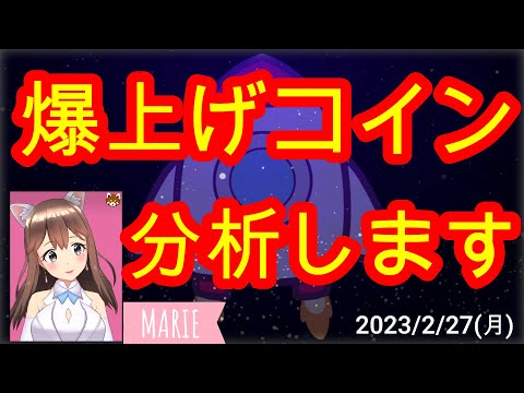02/27【仮想通貨】爆上げコインの相場分析♡5分で聞ける♪インスタは説明欄から登録してね↓↓↓サクッと見れる♪通勤前や寝る前のインプットにおすすめ♡