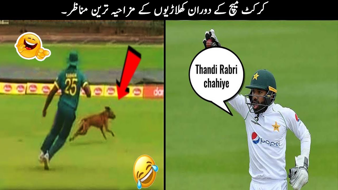 24 Funny Moments in Cricket YouTube