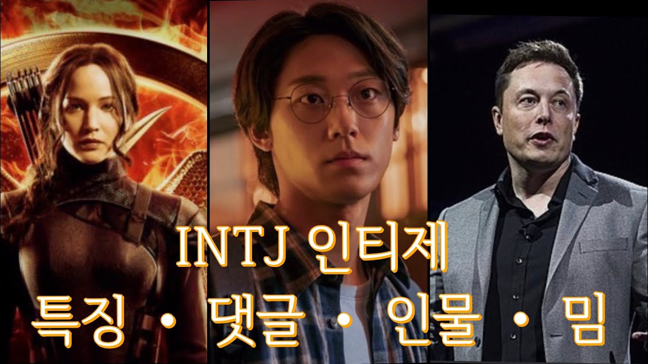 intj 인티제 댓글 • 인물 • 특징 • 밈  [ 벨라의 심리학 교실 ] 일론머스크 / 이은혁 / 캣니스 에버딘 / 시엘 팬텀하이브