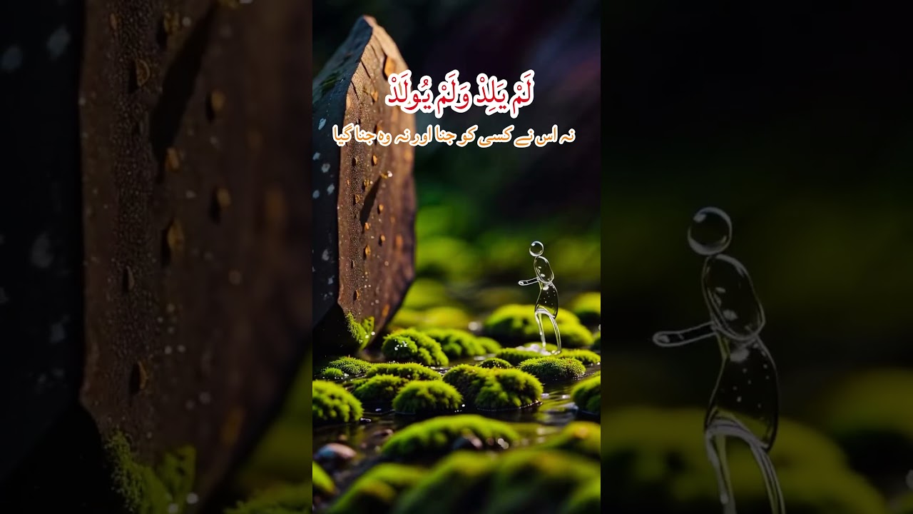 Surah Ikhlas|Mishary AlafasyFan Upload | Not Official Channel 