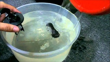 ARDUINO + FLOAT SENSOR