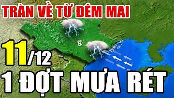 Dự báo thời tiết hôm nay và ngày mai 11/12/2025 | Dự báo thời tiết trong 3 ngày tới