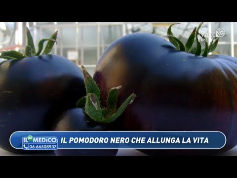 Video: Pomodoro - Il Nostro Medico Di Famiglia