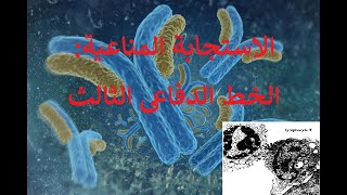 الإستجابة المناعية - النشاط الثالث: الخط الدفاعي الثالث للعضوية