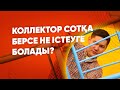 Коллектор сотқа берсе не істеу керек?