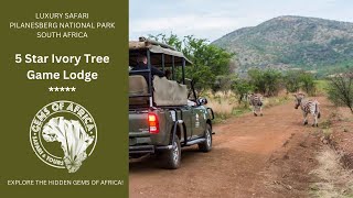 A Visit to the 5 Star Ivory Tree Game Lodge in Pilanesberg National Park, South Africa.