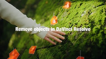 Remove Objects LIKE MAGIC in DaVinci Resolve!