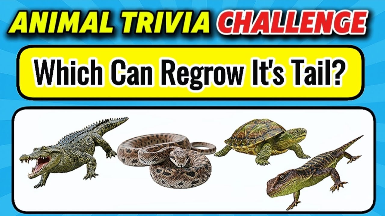 Ultimate Animals Trivia Challenge | Only True Animal Lovers Can Pass This Quiz!