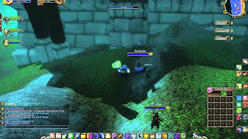 WoW Molten Hacker Speed/Flyhack Busted