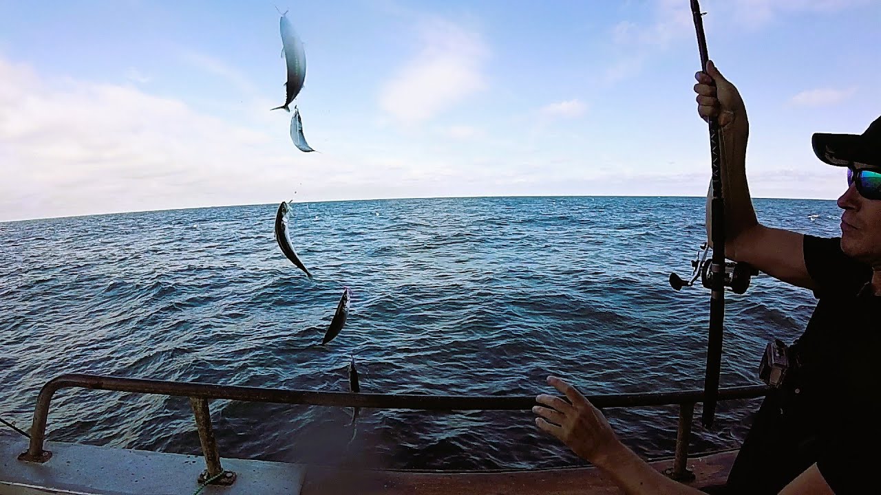 En dag ombord på M/S Clipper af Varberg. Makrillfiske på Fladen fisketurer. Pilk + häckla, havsfiske